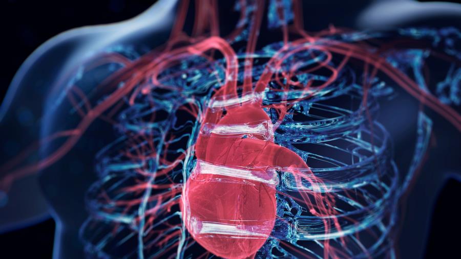 Une matinée scientifique dédiée aux pathologies de l'aorte (Liège)