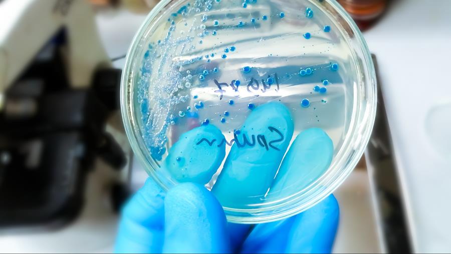 Resolutie wil pneumokokkenvaccinatie veralgemenen